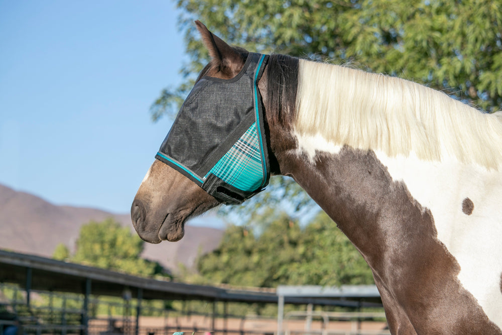 Kensington 90% UV Fly Mask CatchMask UViator - without Ears &  Forelock Freedom