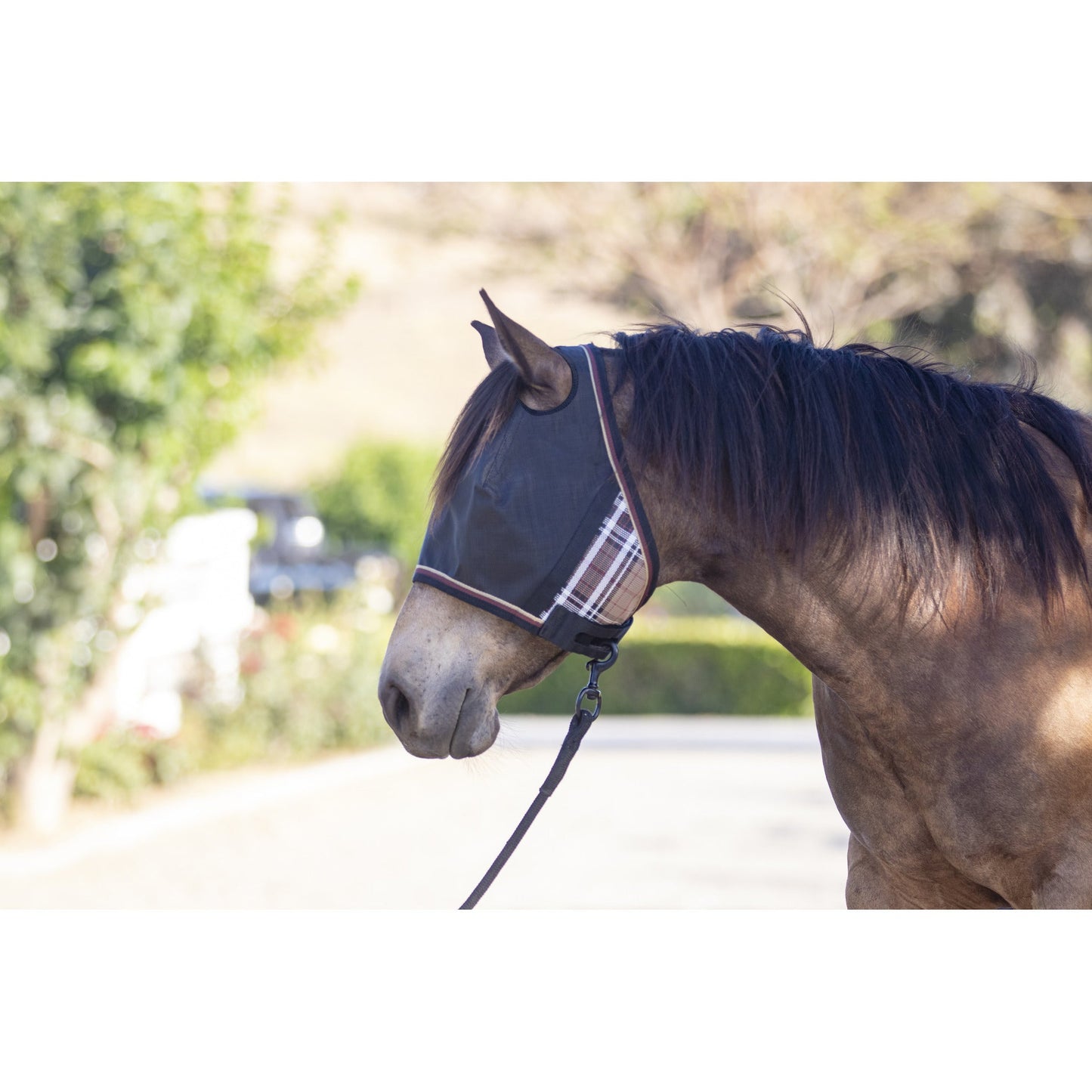 Kensington 90% UV Fly Mask CatchMask UViator - without Ears &  Forelock Freedom