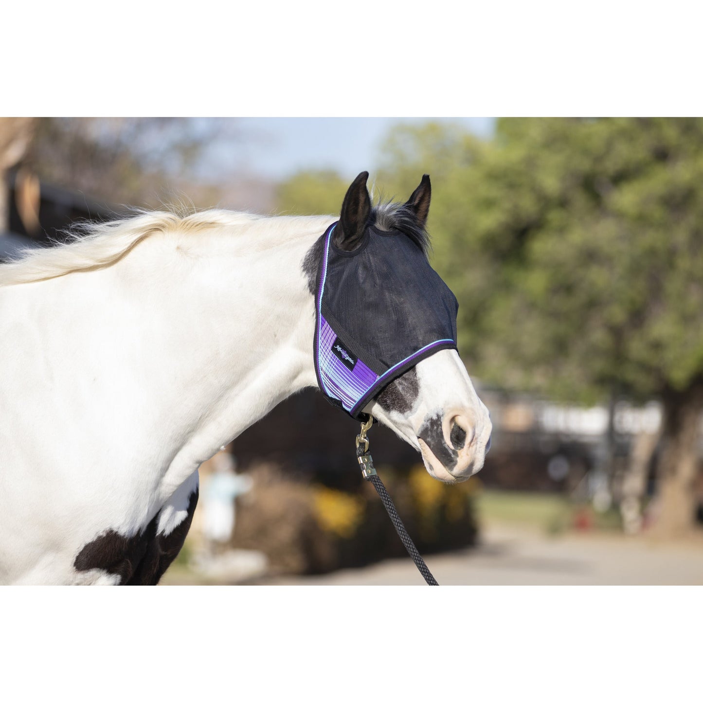 Kensington 90% UV Fly Mask CatchMask UViator - without Ears &  Forelock Freedom