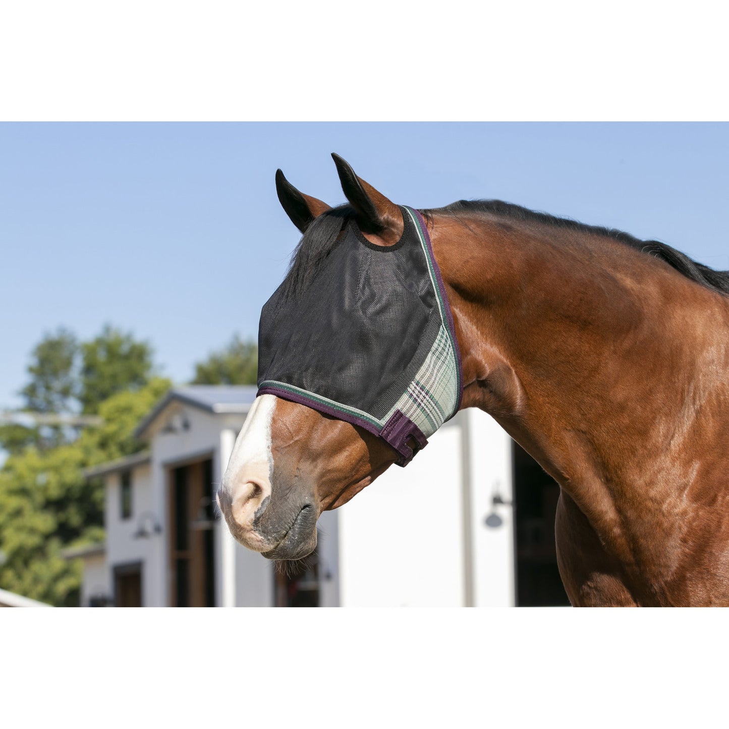 Kensington 90% UV Fly Mask CatchMask UViator - without Ears &  Forelock Freedom