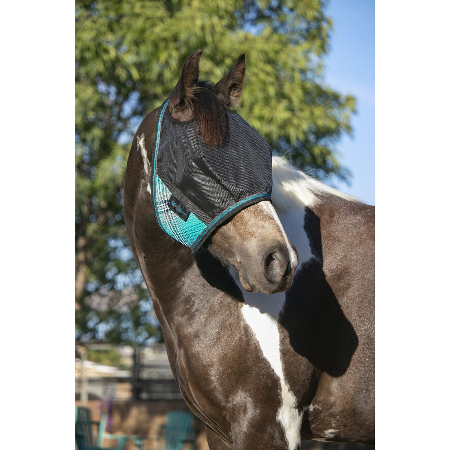 Kensington 90% UV Fly Mask CatchMask UViator - without Ears &  Forelock Freedom