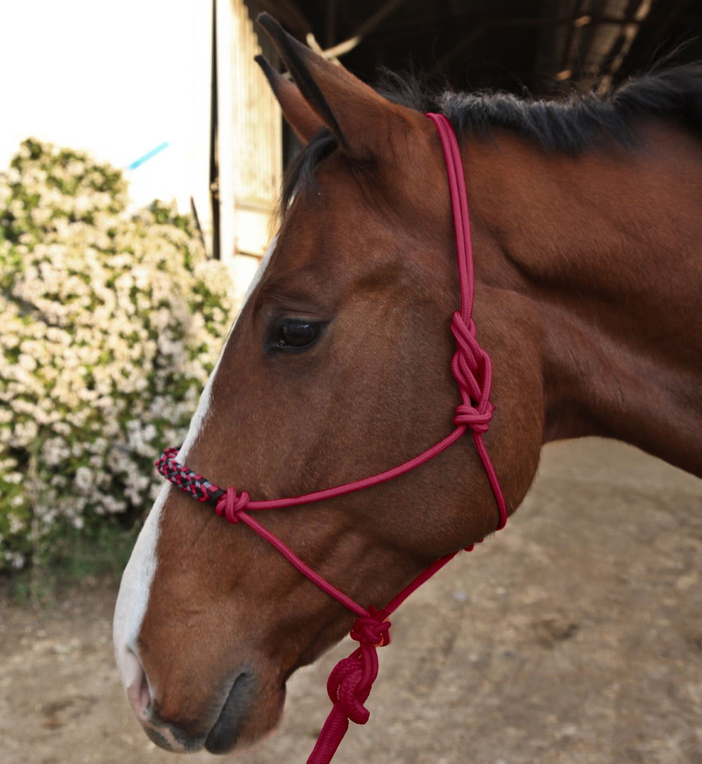 Kensington Clinician Rope Halter