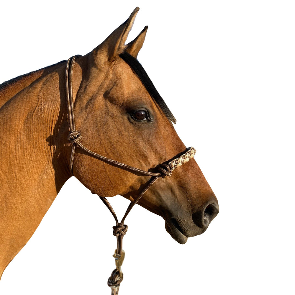 Kensington Clinician Rope Halter