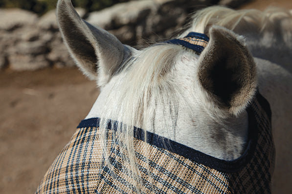 Kensington Fly Mask with Fleece Trim - Open Ear Design