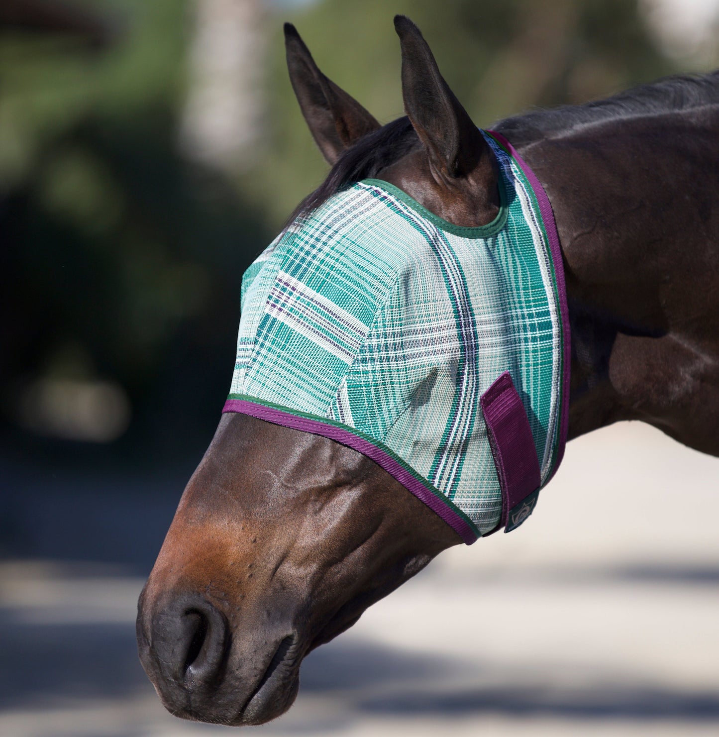 Kensington Draft Fly Mask with Web Trim - Open Ear Design