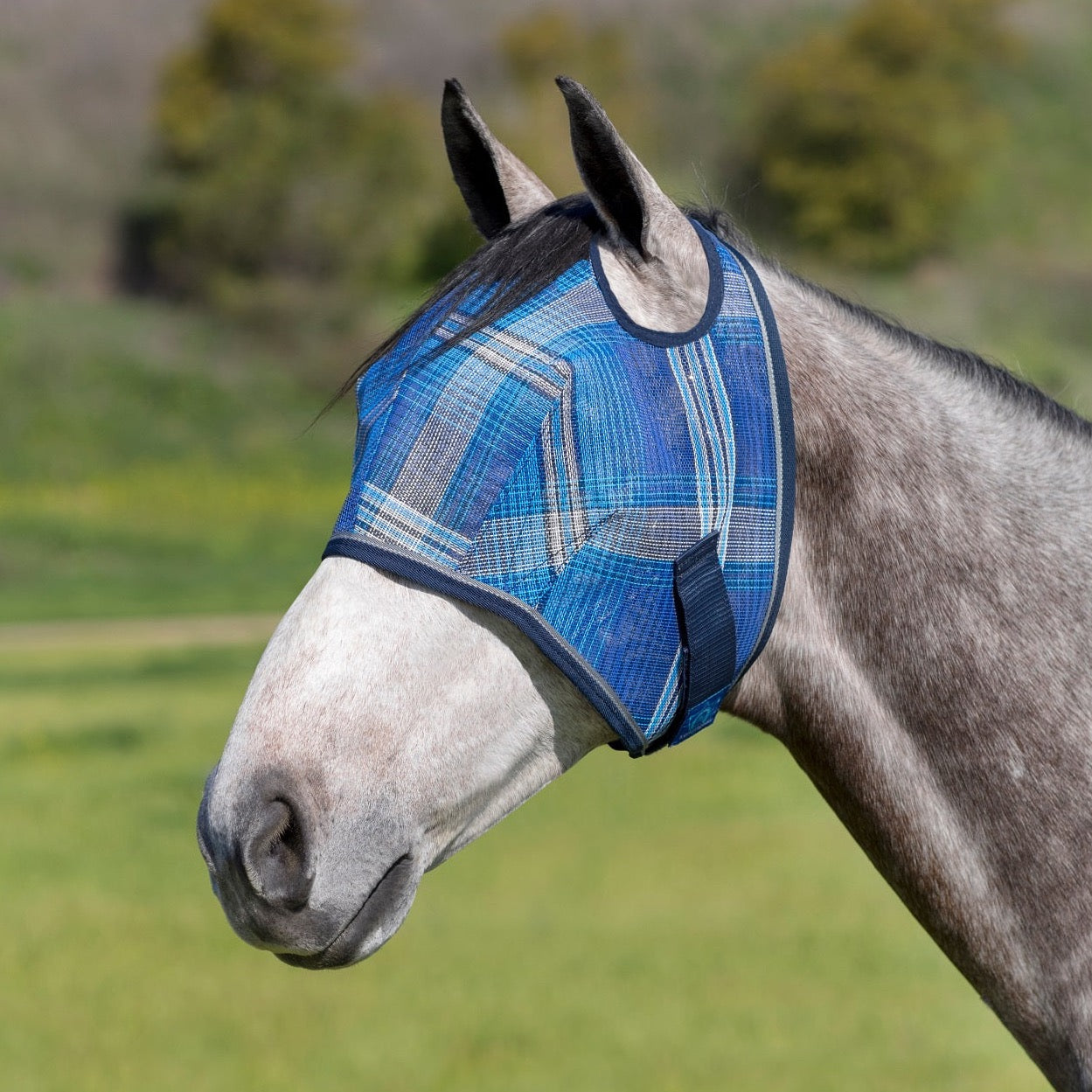Kensington Fly Mask with Web Trim - Dual Ear Opening - 73% UV Blocking