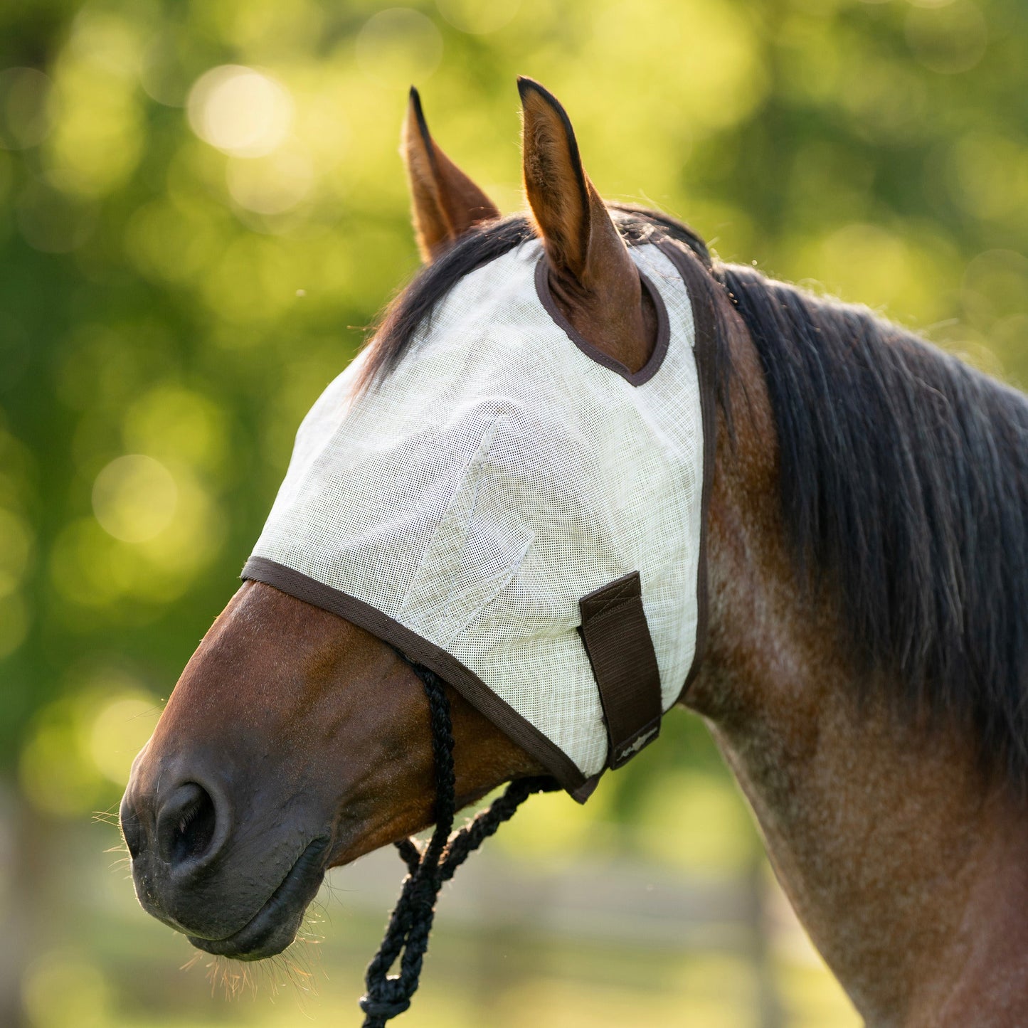 Kensington Fly Mask with Web Trim - Dual Ear Opening - 73% UV Blocking