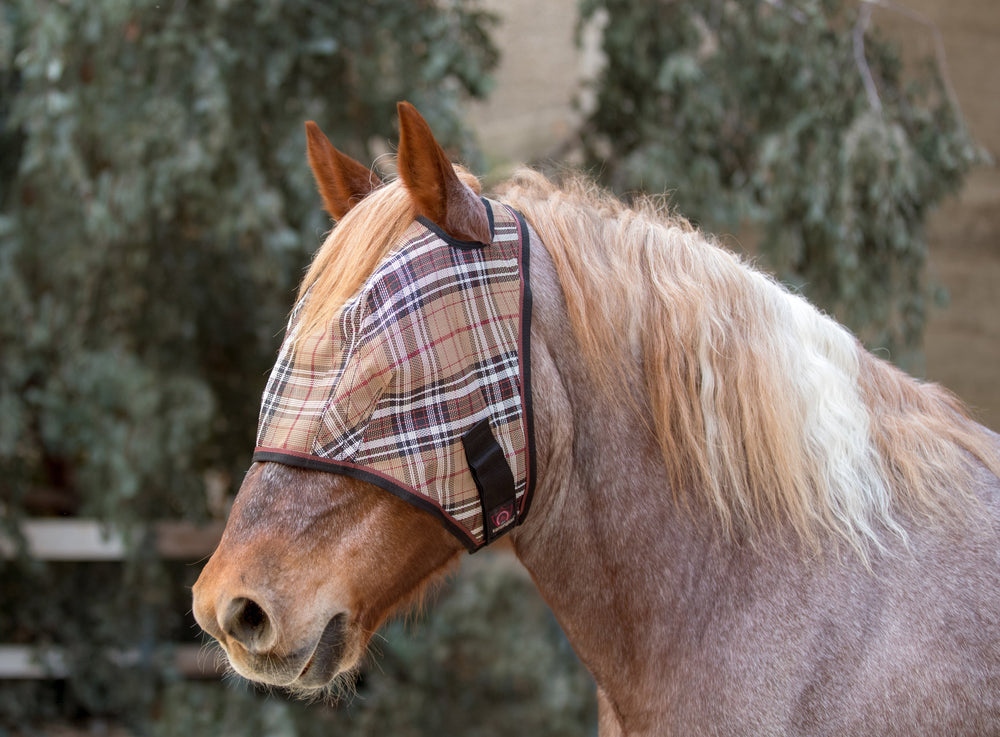 Kensington Draft Fly Mask with Web Trim - Dual Ear Holes - 73% UV Blocking