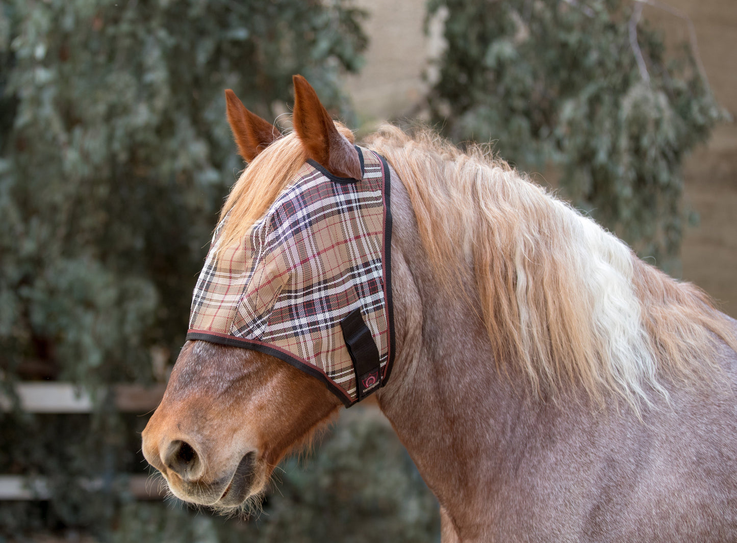 Kensington Draft Fly Mask with Web Trim - Dual Ear Holes - 73% UV Blocking