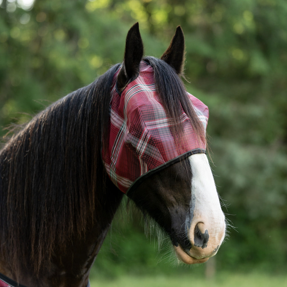 Kensington Draft Fly Mask with Web Trim - Dual Ear Holes - 73% UV Blocking