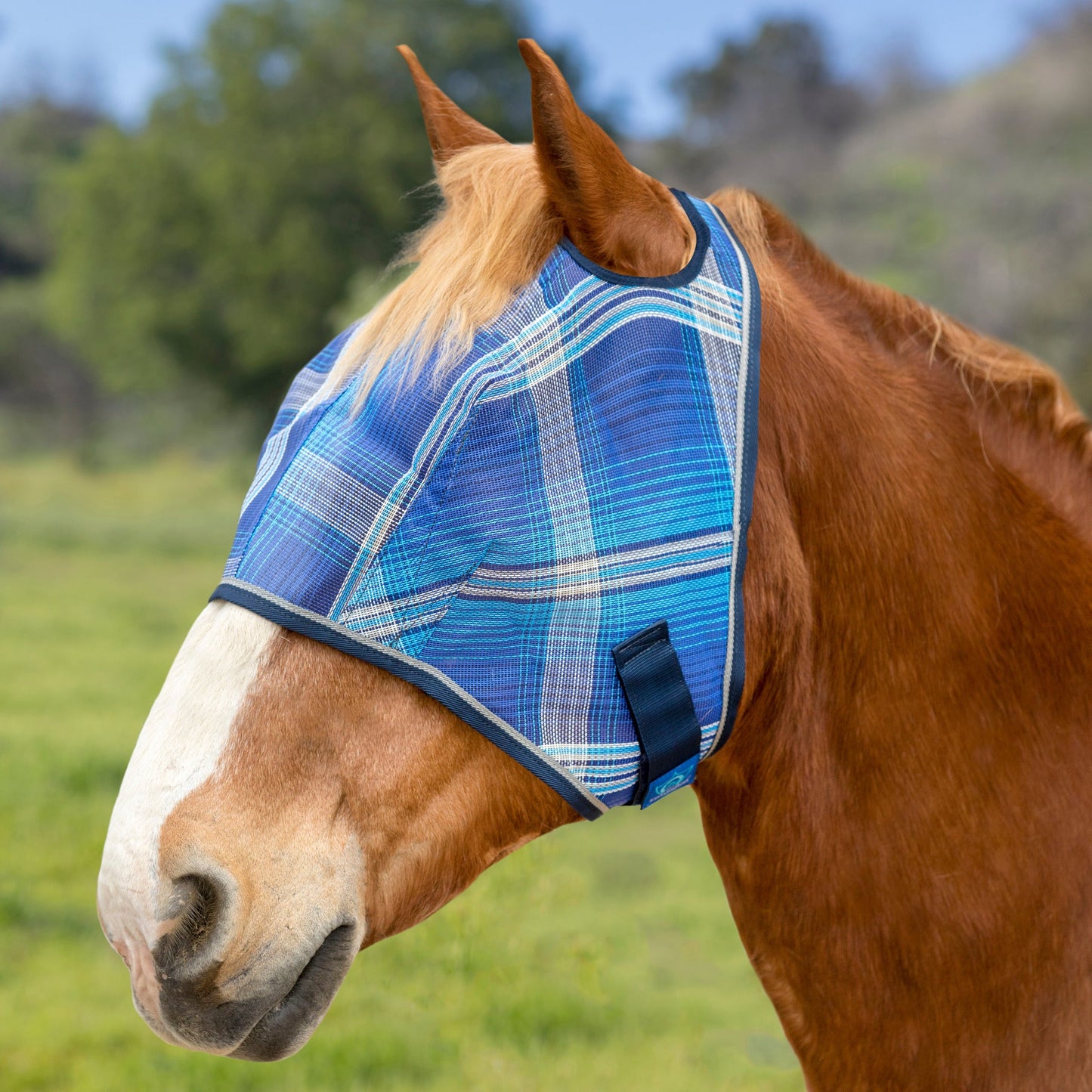 Kensington Draft Fly Mask with Web Trim - Dual Ear Holes - 73% UV Blocking