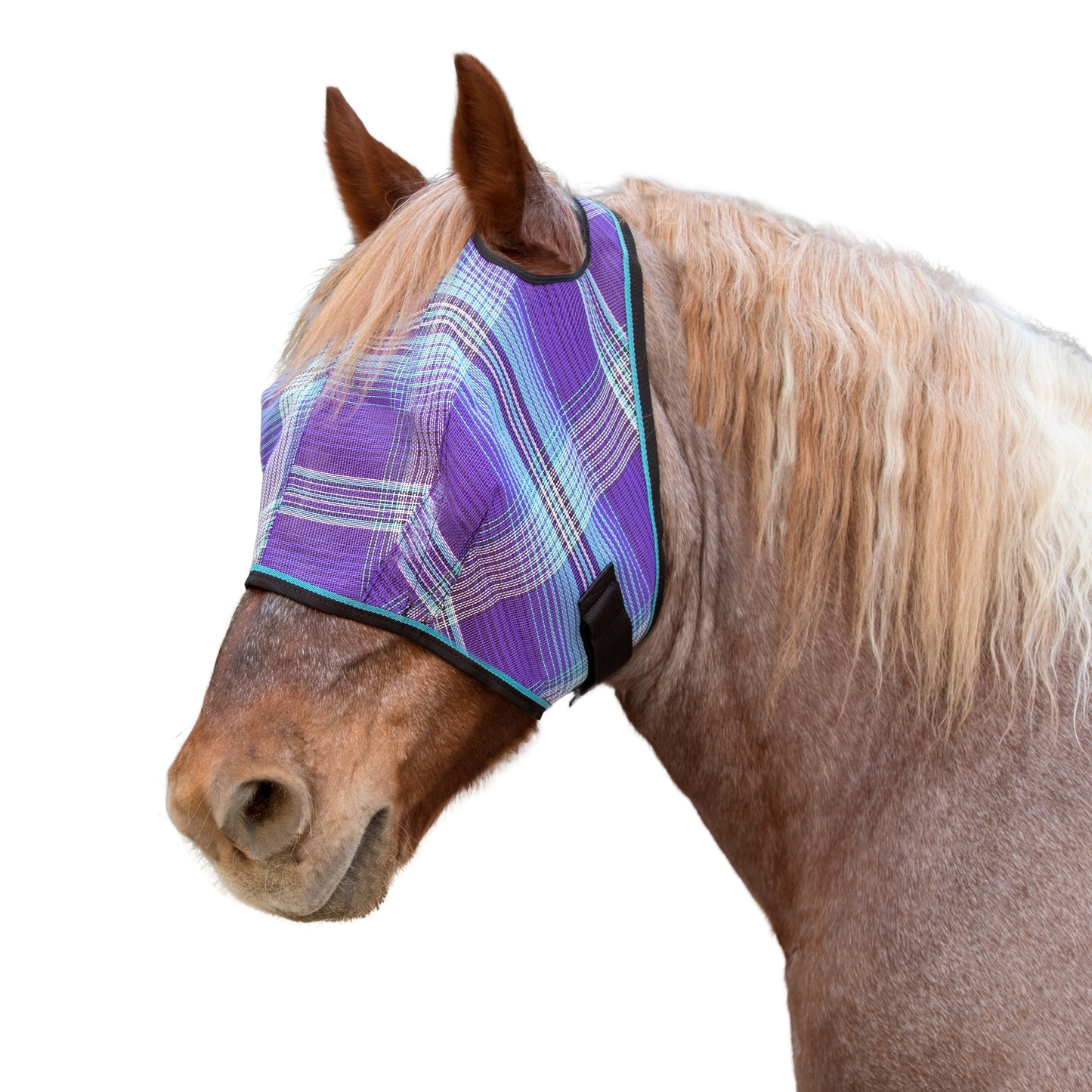 Kensington Draft Fly Mask with Web Trim - Dual Ear Holes - 73% UV Blocking