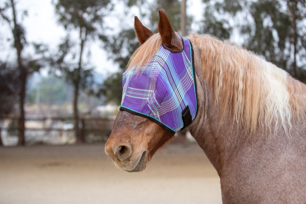 Kensington Draft Fly Mask with Web Trim - Dual Ear Holes - 73% UV Blocking