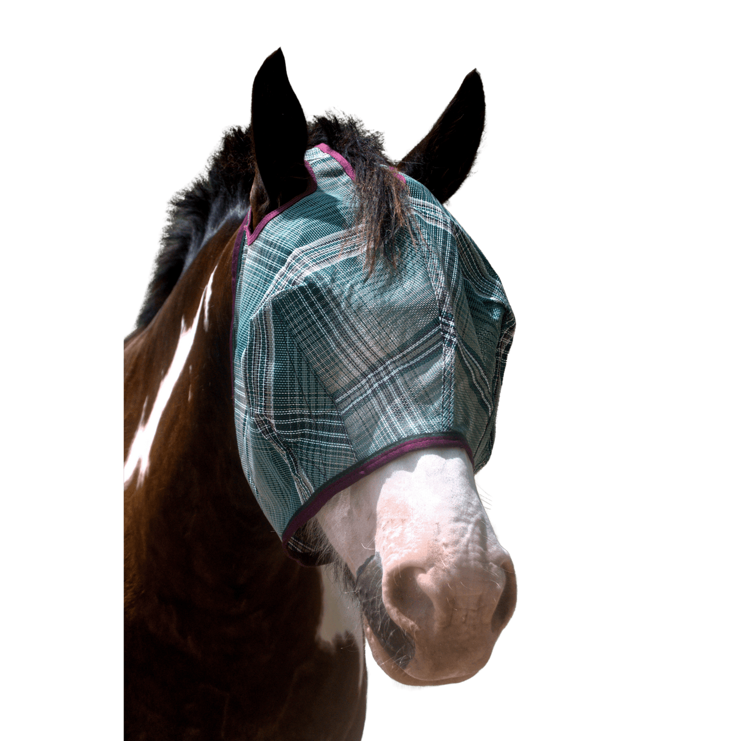 Kensington Draft Fly Mask with Web Trim - Dual Ear Holes - 73% UV Blocking