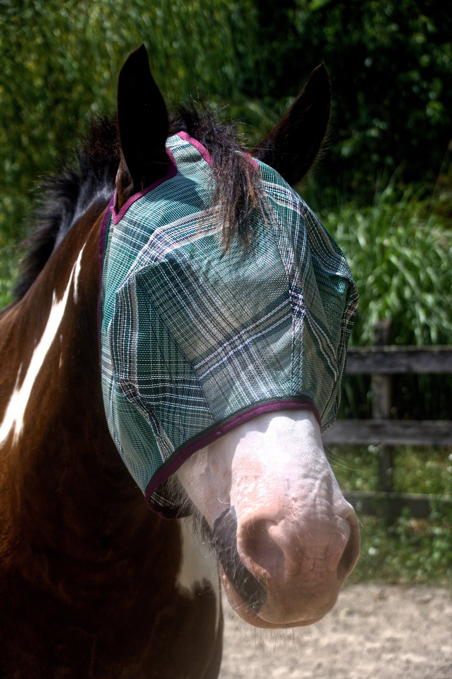 Kensington Draft Fly Mask with Web Trim - Dual Ear Holes - 73% UV Blocking