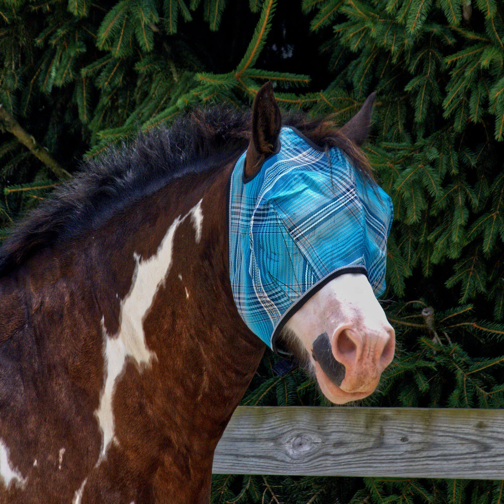 Kensington Draft Fly Mask with Web Trim - Dual Ear Holes - 73% UV Blocking