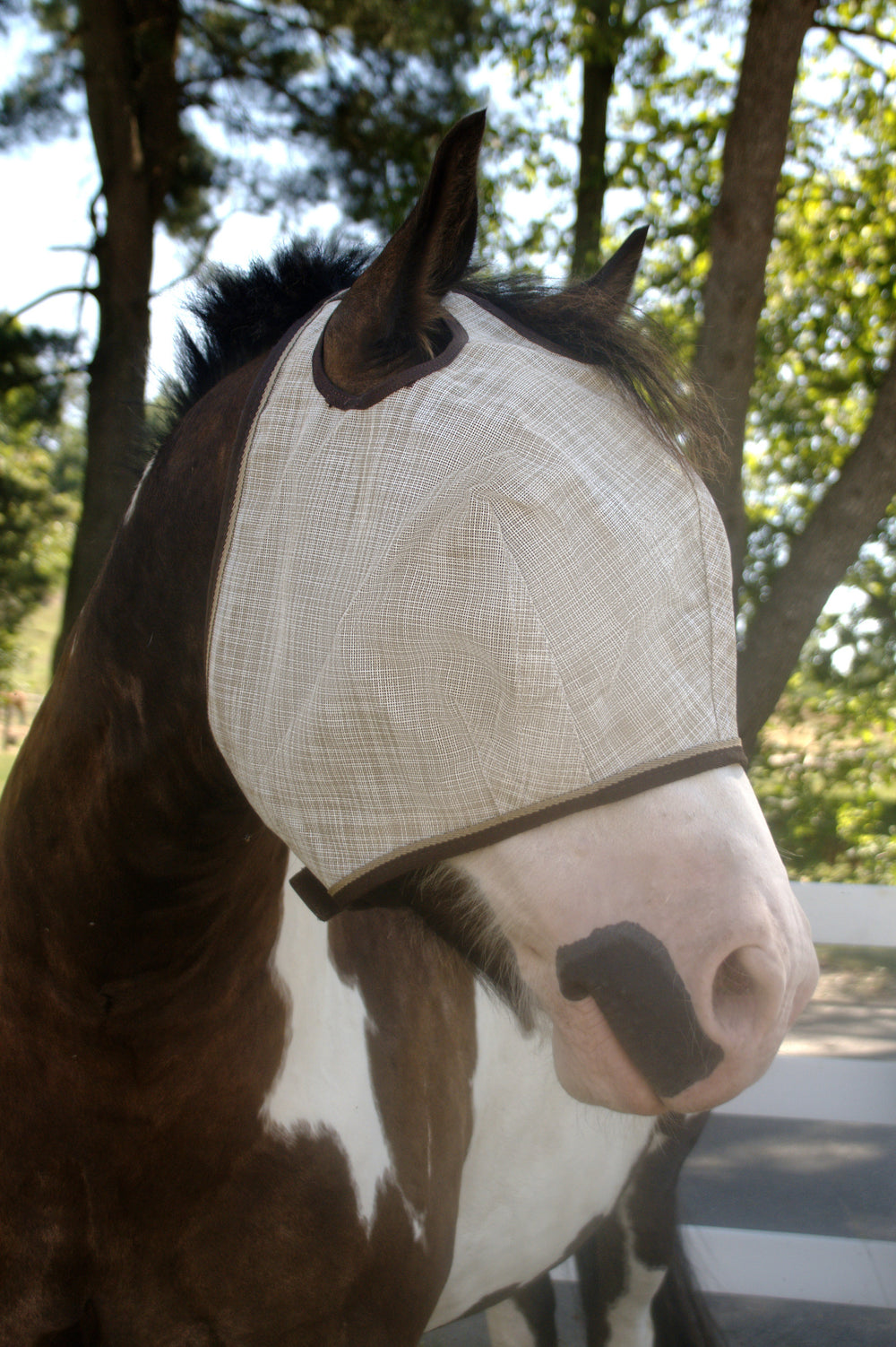 Kensington Draft Fly Mask with Web Trim - Dual Ear Holes - 73% UV Blocking