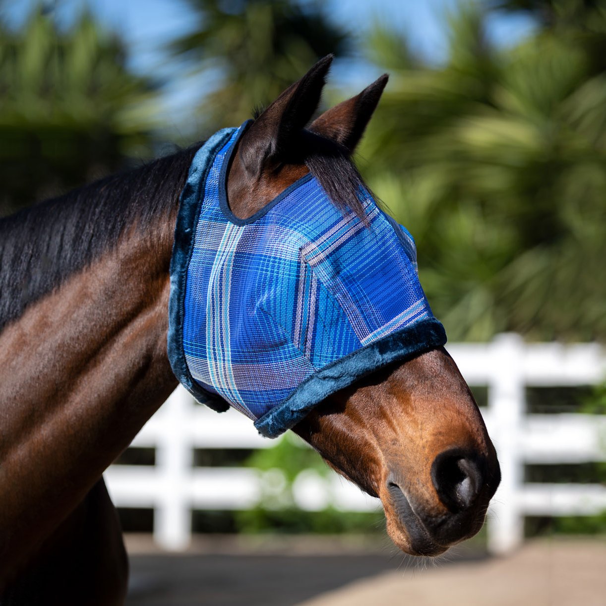 Kensington Fly Mask with Fleece Trim - Open Ear Design