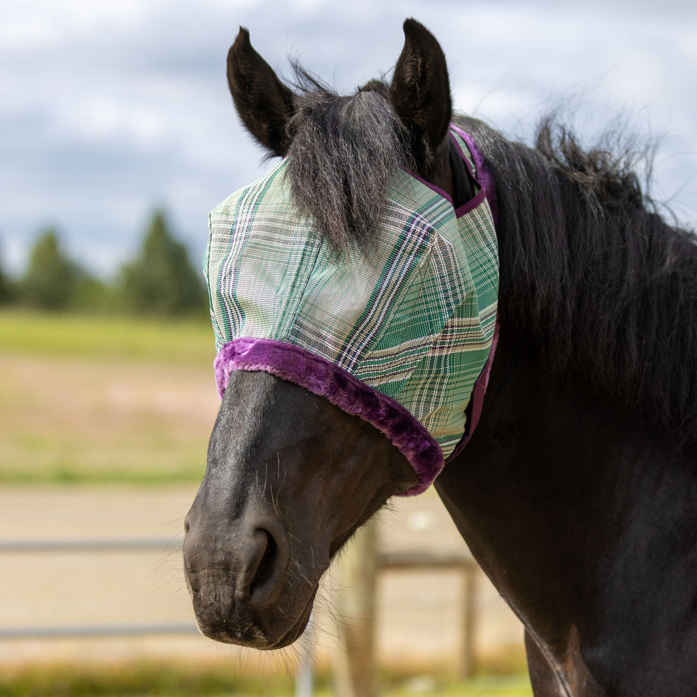 Kensington Draft Fly Mask with Fleece Trim - Open Ear Design with Forelock Freedom