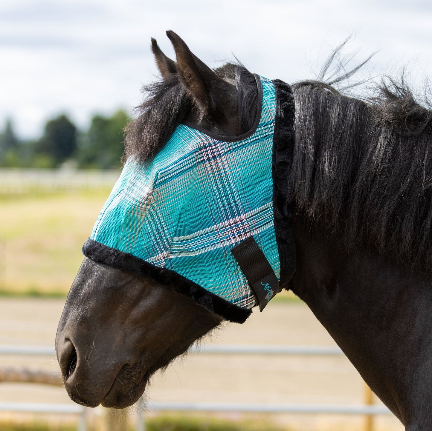 Kensington Draft Fly Mask with Fleece Trim - Open Ear Design with Forelock Freedom