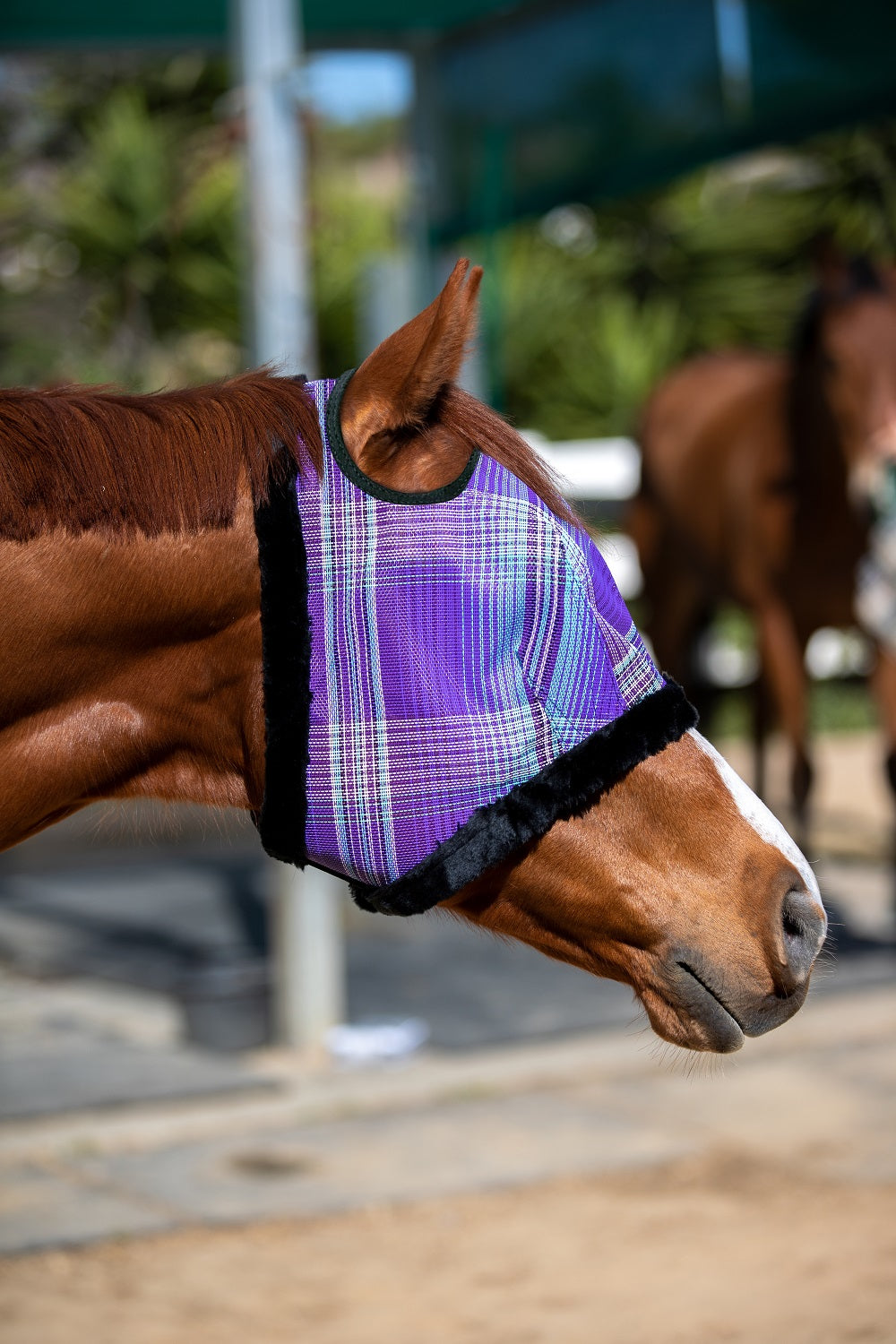 Kensington Fly Mask with Fleece Trim - Dual Ear Holes - 73% UV Blocking