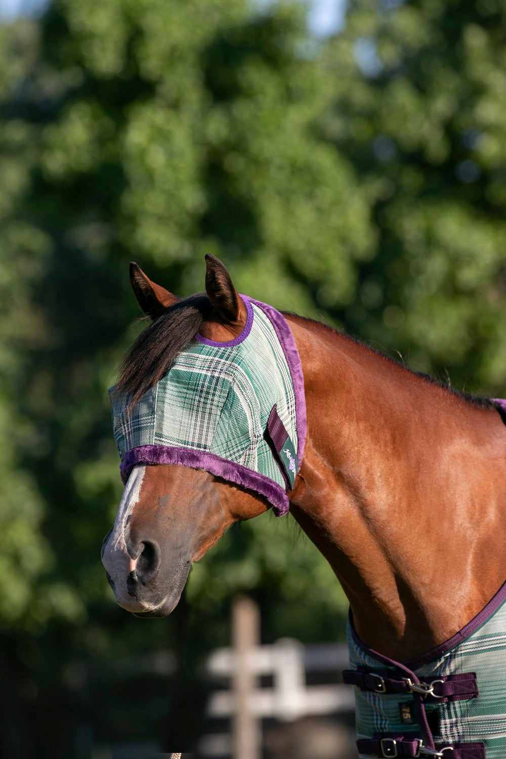 Kensington Fly Mask with Fleece Trim - Dual Ear Holes - 73% UV Blocking