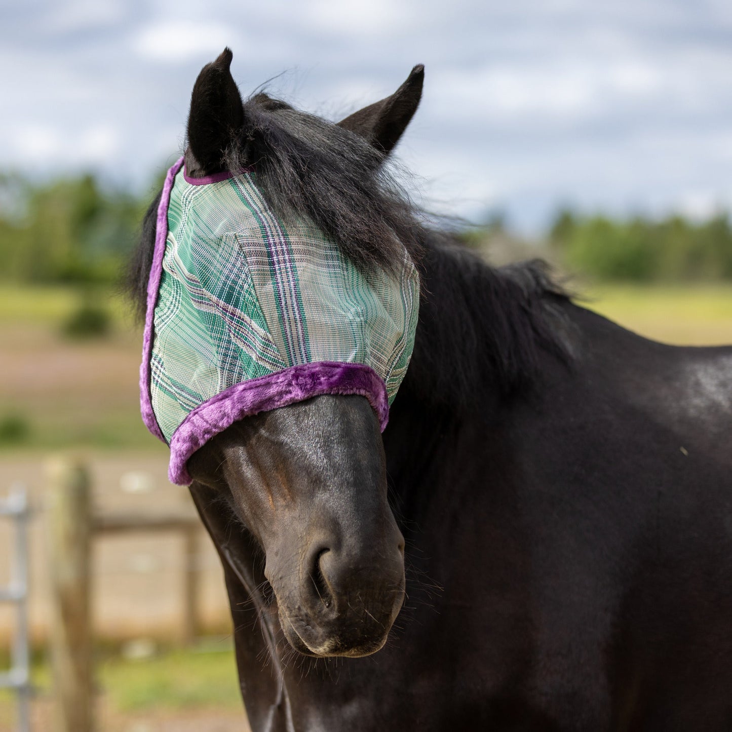Kensington Draft Fly Mask with Fleece Trim - Dual Ear Holes - 73% UV Blocking