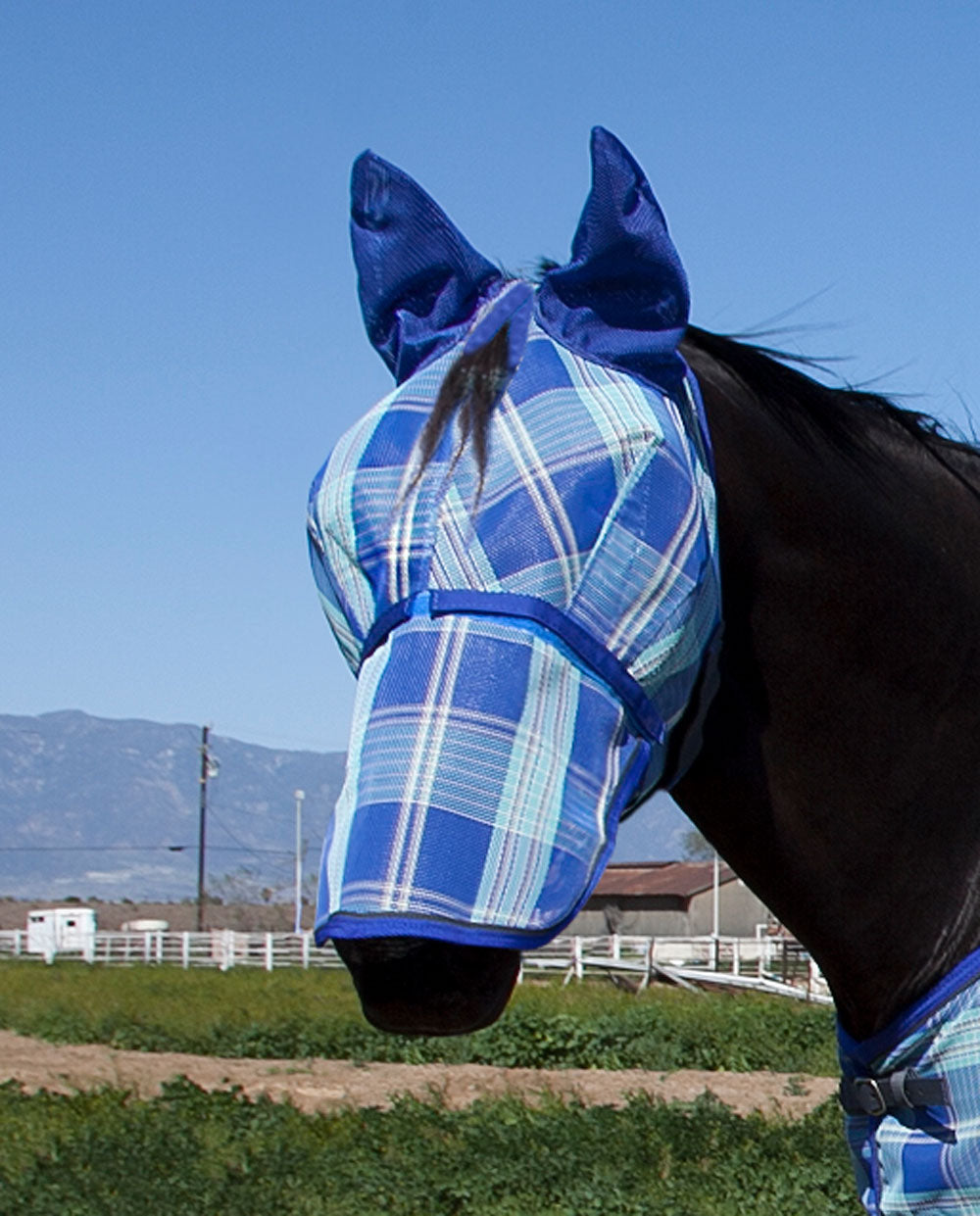 Kensington Fly Mask with Removable Nose with Soft Mesh Ears