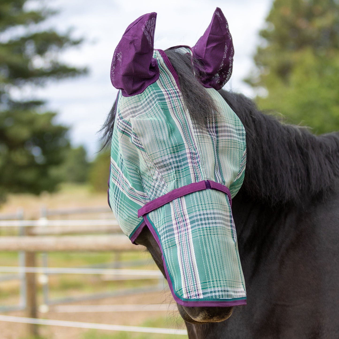 Kensington Draft Fly Mask with Removable Nose, Soft Mesh Ears & Forelock Opening - 73% UV Blocking