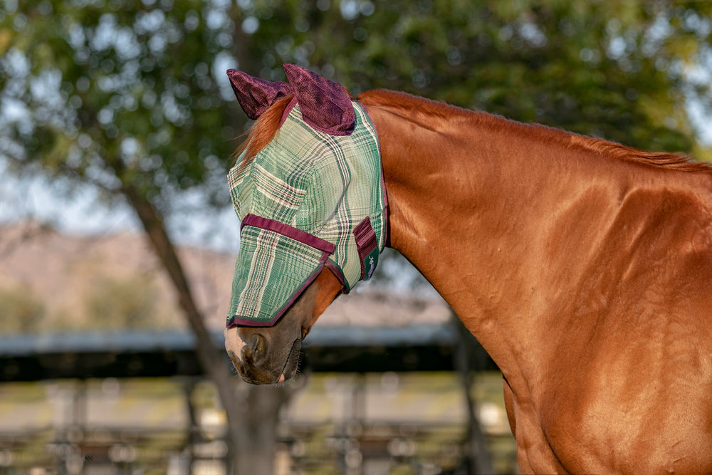 Kensington Fly Mask with Removable Nose with Soft Mesh Ears