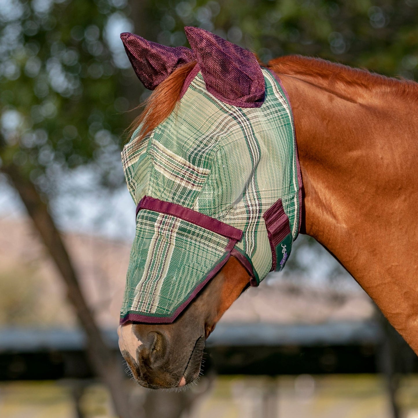 Kensington Fly Mask with Removable Nose with Soft Mesh Ears