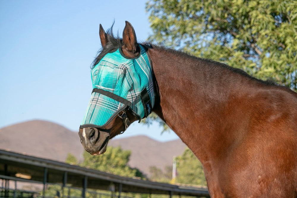 Kensington Fly Mask with Removable Nose