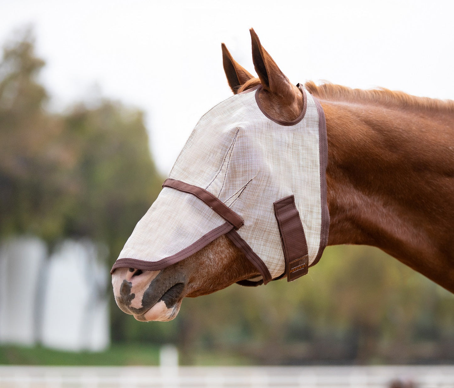 Kensington Fly Mask with Removable Nose