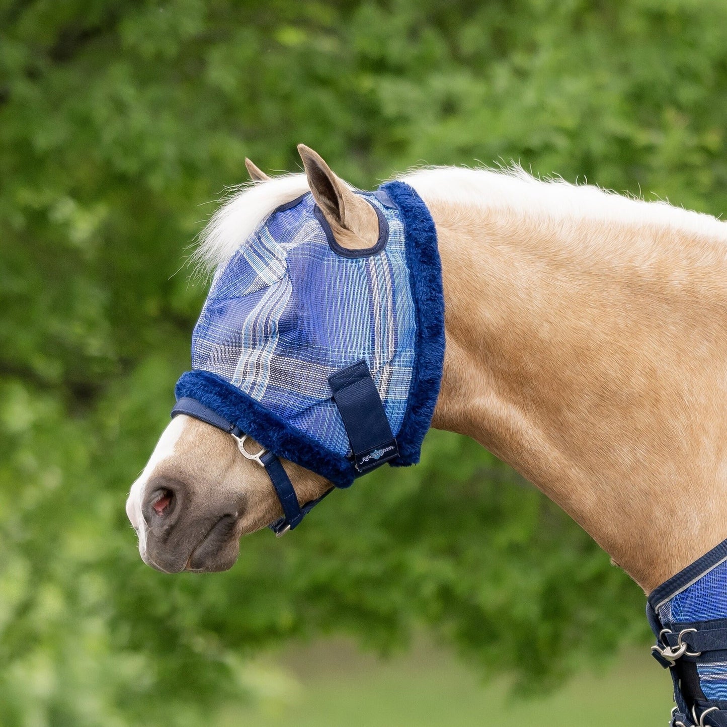 Kensington Mini/Pony Fly Mask with Fleece Trim & Dual Ear Openings - 73% UV Blocking
