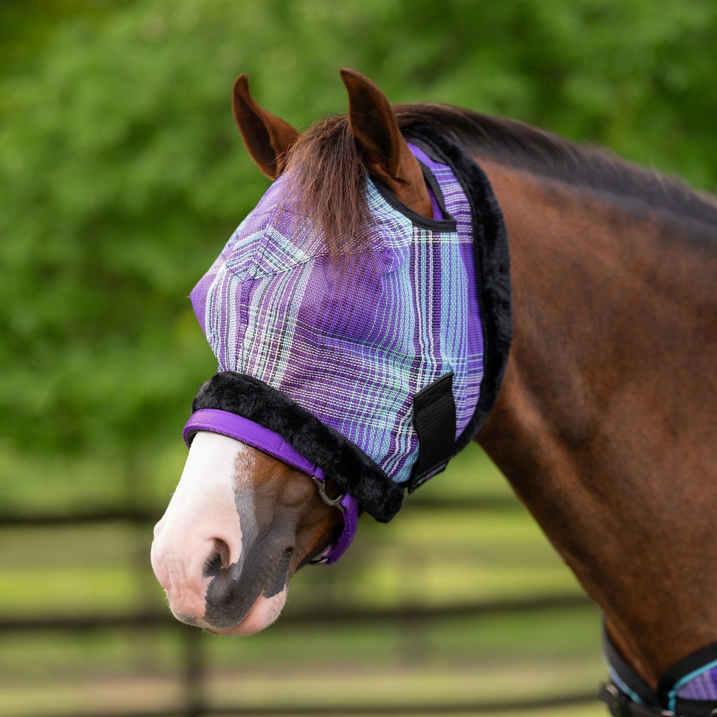 Kensington Mini/Pony Fly Mask with Fleece Trim & Dual Ear Openings - 73% UV Blocking