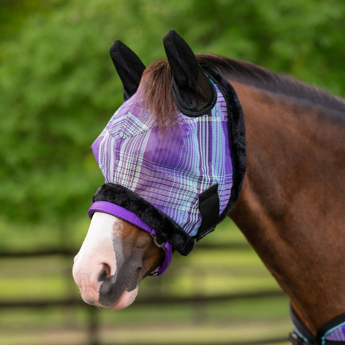 Kensington Mini/Pony Fly Mask with Fleece Trim & Soft Mesh Ears - 73% UV Blocking