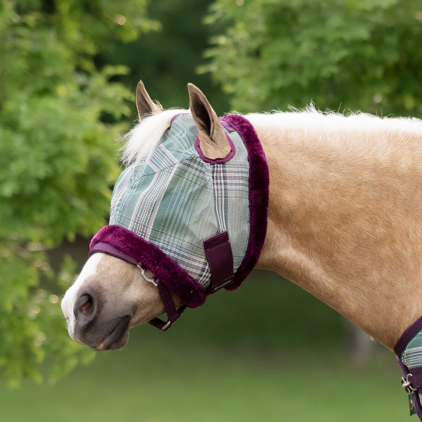 Kensington Mini/Pony Fly Mask with Fleece Trim & Dual Ear Openings - 73% UV Blocking