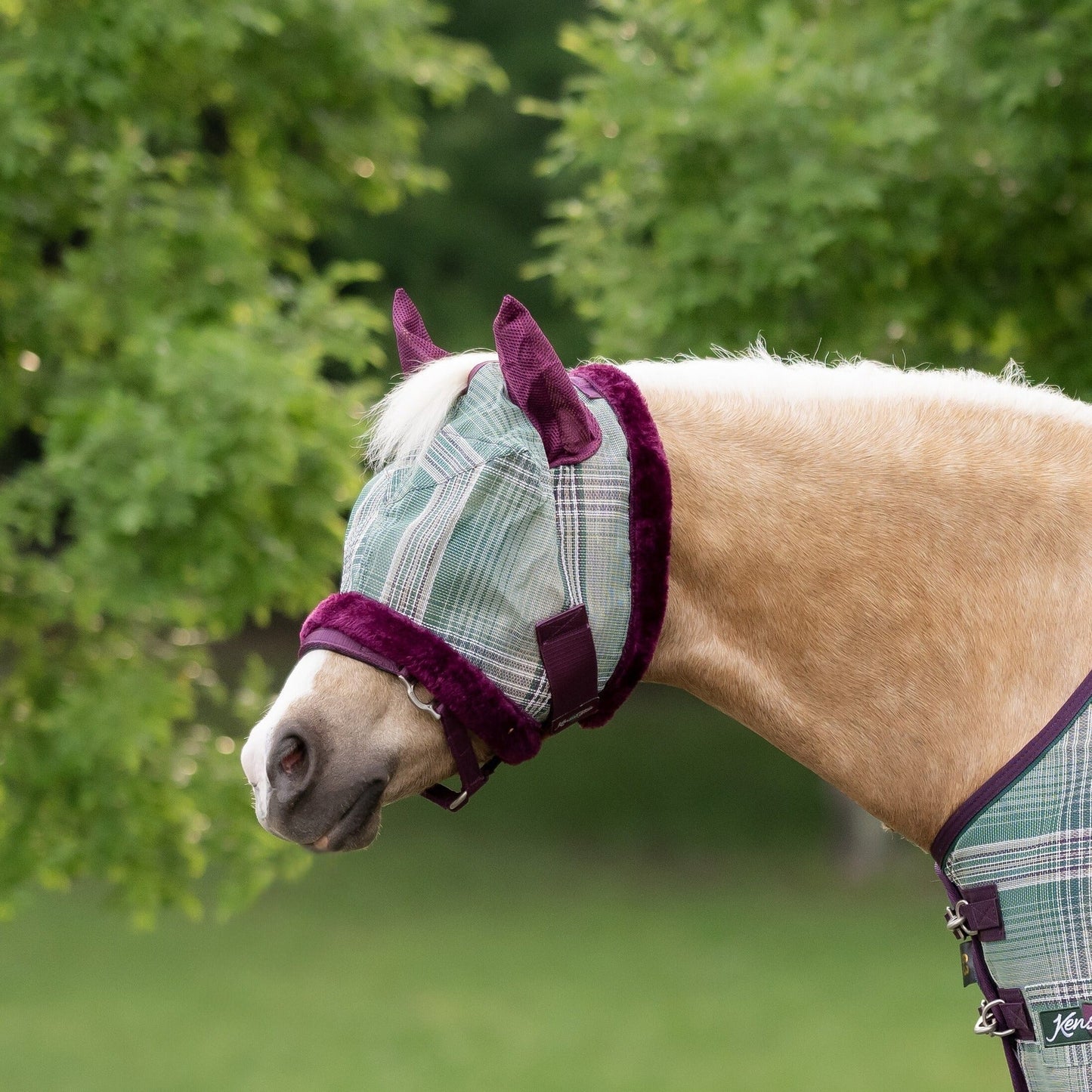 Kensington Mini/Pony Fly Mask with Fleece Trim & Soft Mesh Ears - 73% UV Blocking