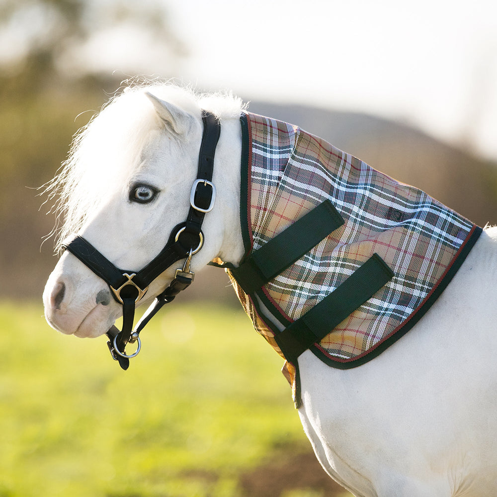 Kensington Mini/Pony Protective Neck Cover - 73% UV Blocking