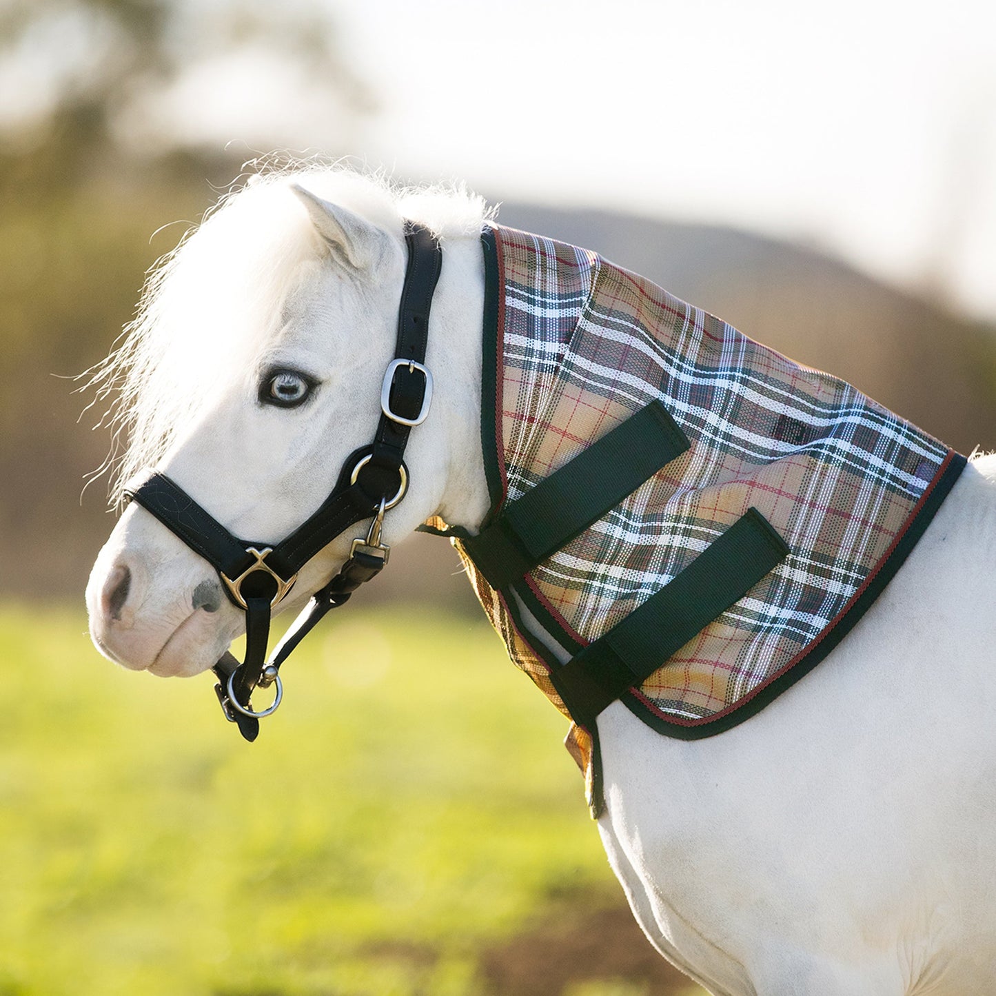 Kensington Mini/Pony Protective Neck Cover - 73% UV Blocking
