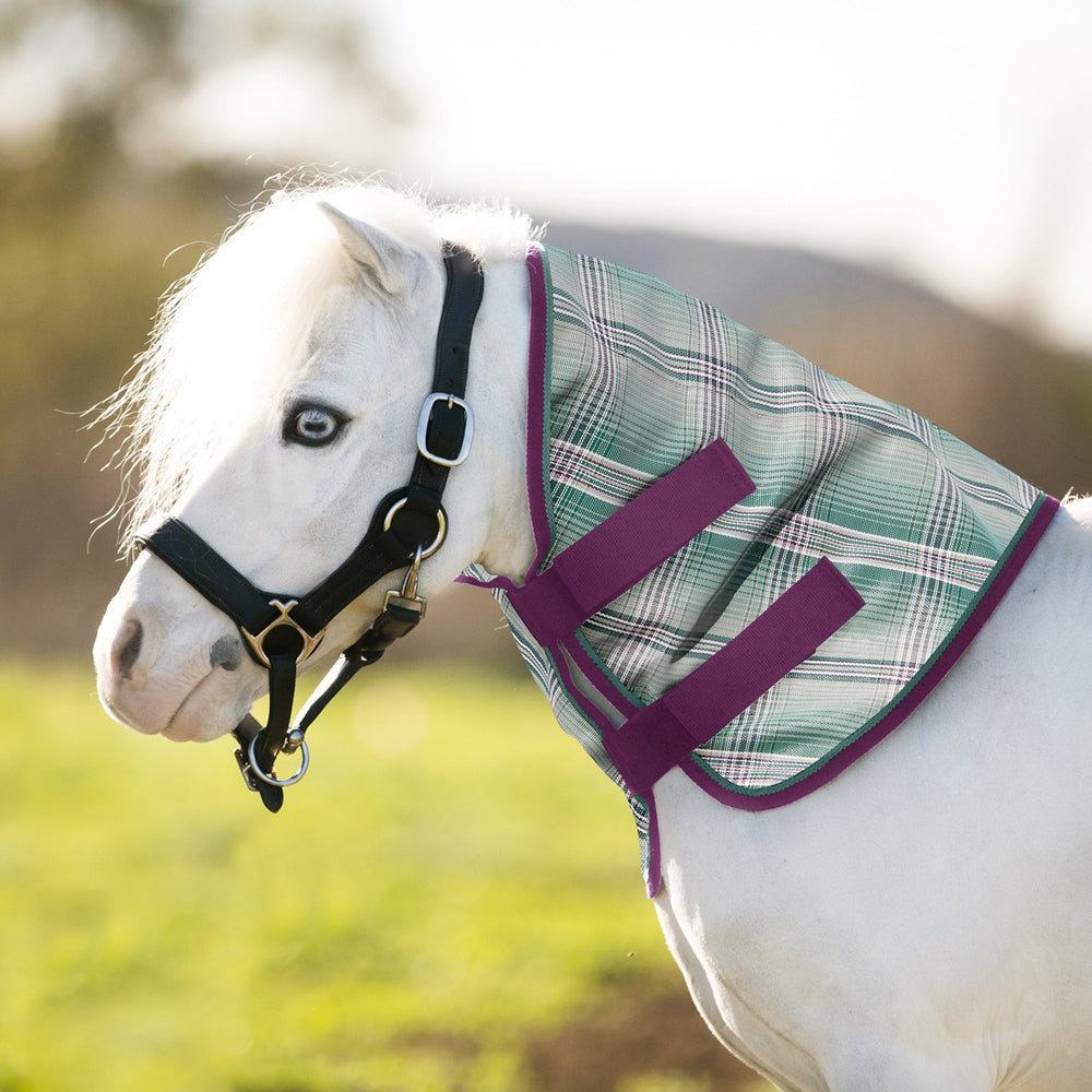 Kensington Mini/Pony Protective Neck Cover - 73% UV Blocking