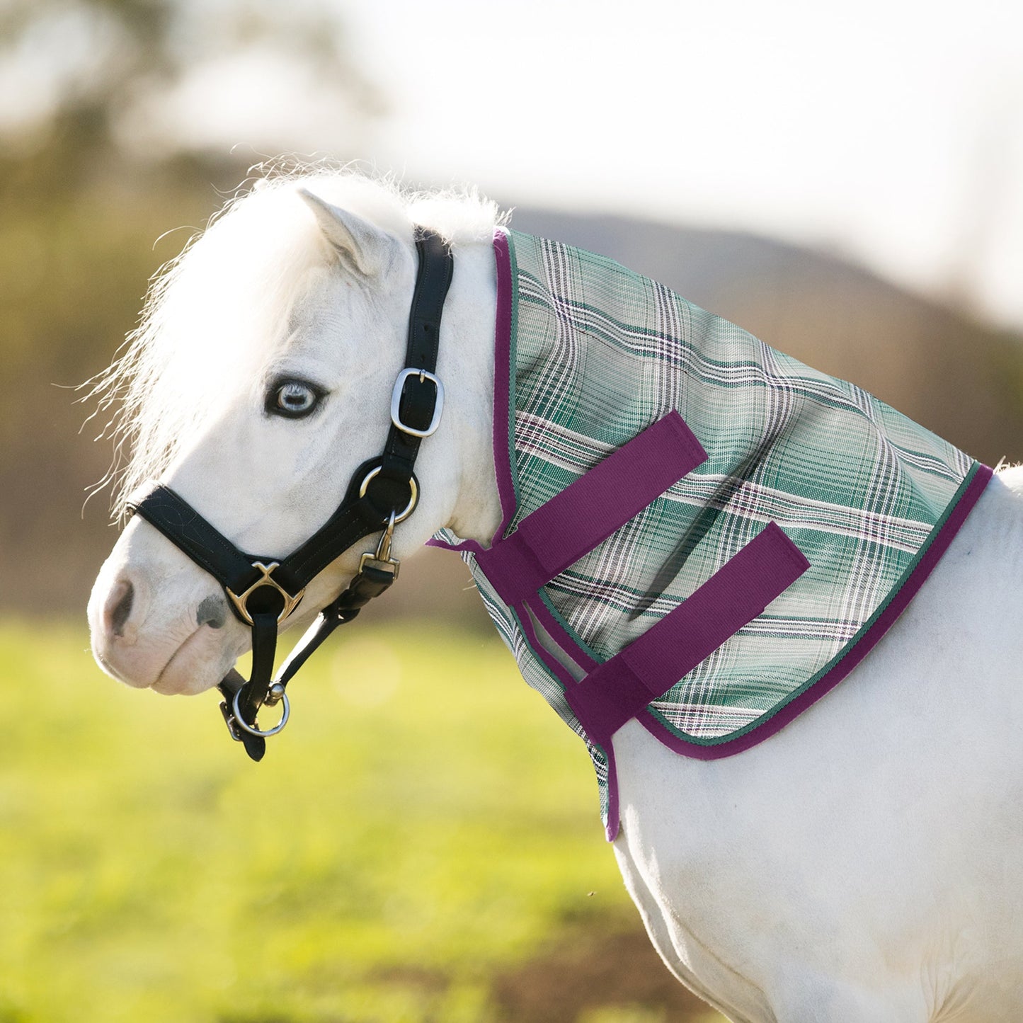 Kensington Mini/Pony Protective Neck Cover - 73% UV Blocking