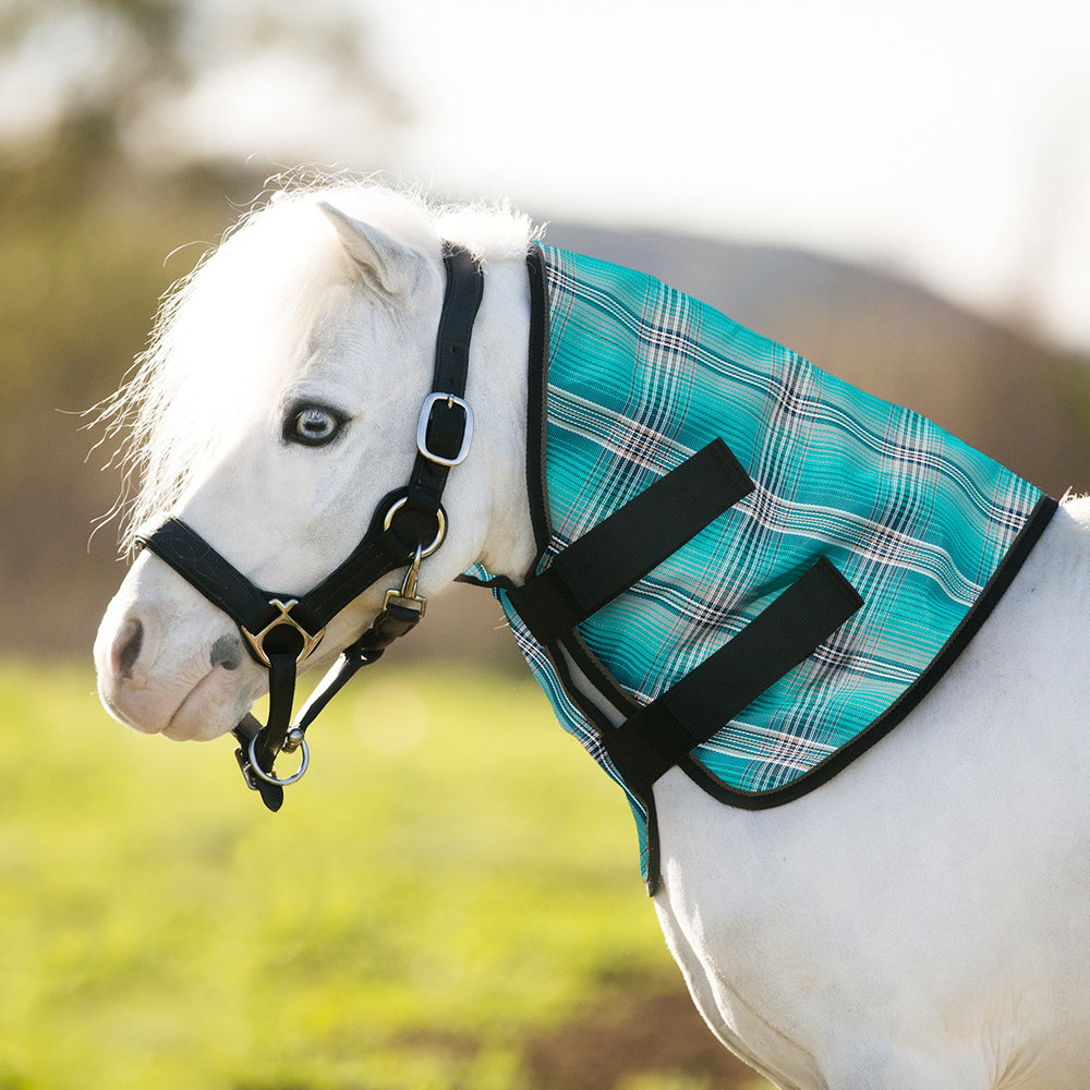 Kensington Mini/Pony Protective Neck Cover - 73% UV Blocking