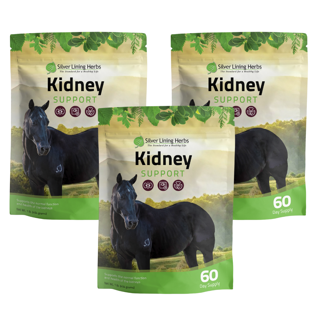 Silver Lining Herbs Kidney Support for Horses