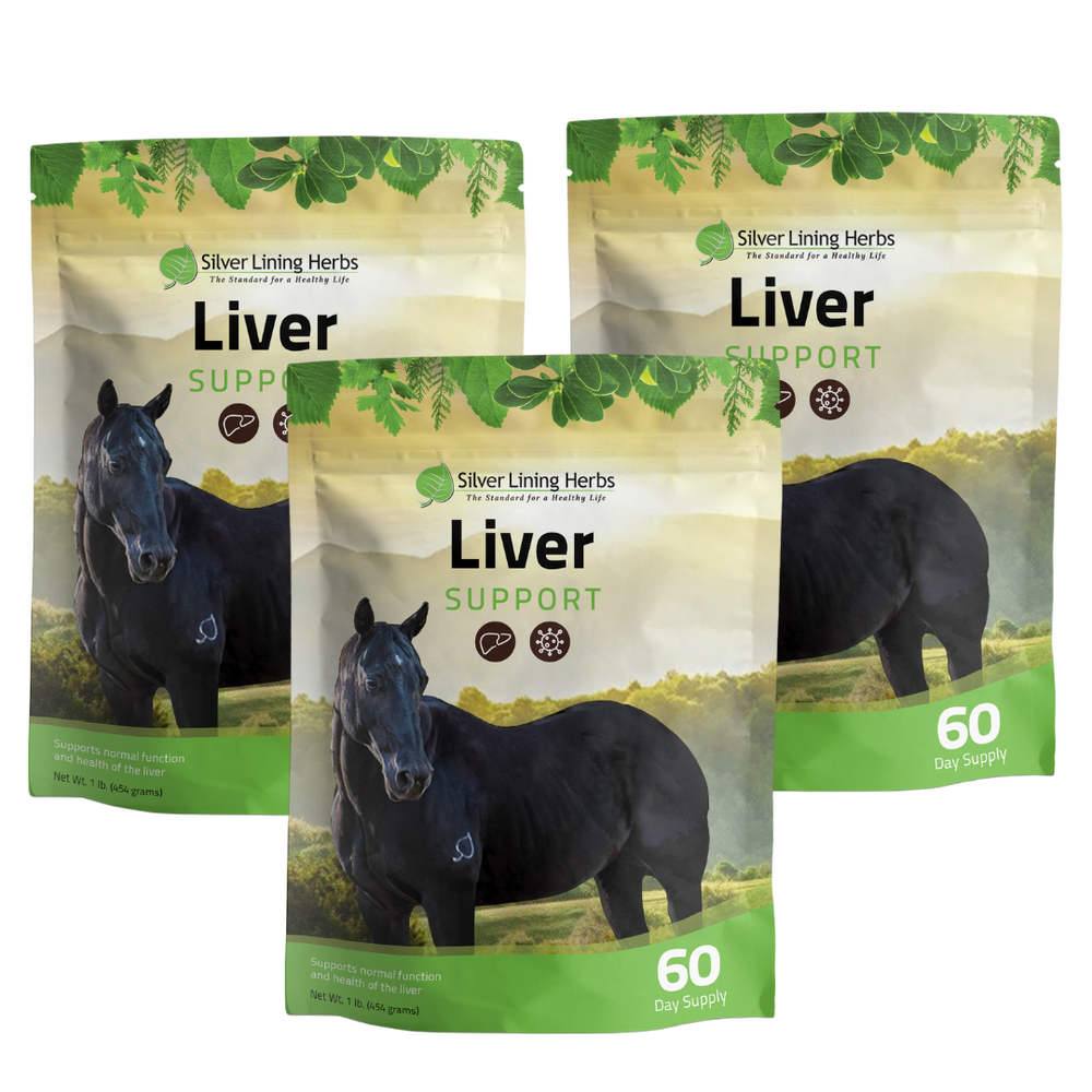 Silver Lining Herbs Liver Support for Horses