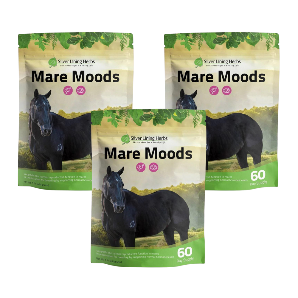Silver Lining Herbs Mare Moods For Horses