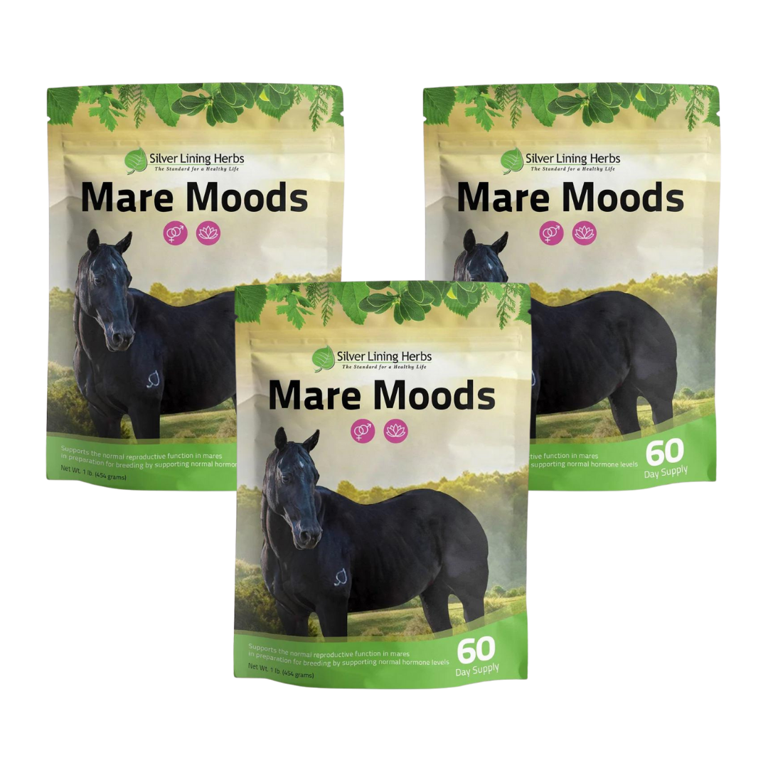 Silver Lining Herbs Mare Moods For Horses