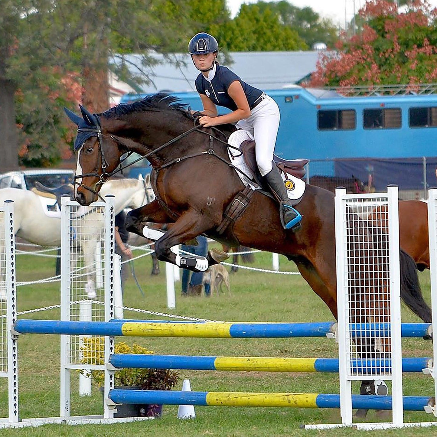 Majyk Equipe Infinity Fetlock Boots with ARTi-LAGE Technology