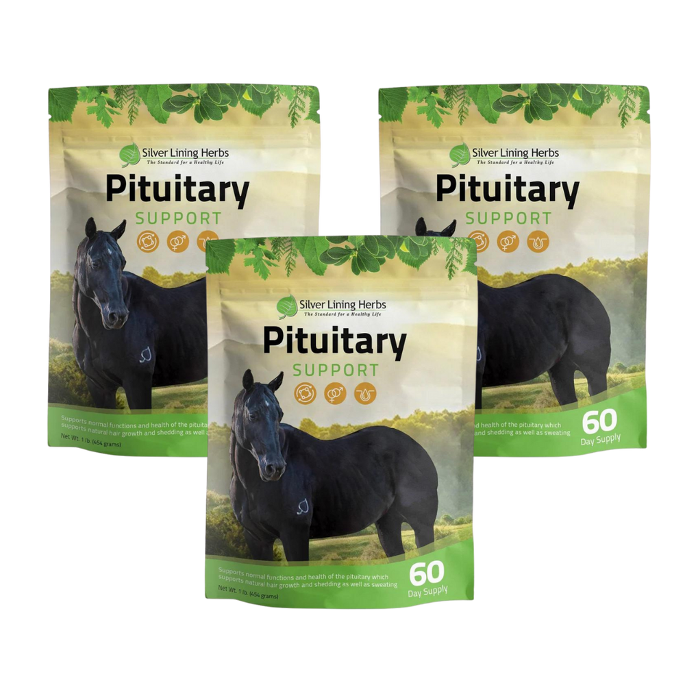 Silver Lining Herbs Pituitary Support for Horses