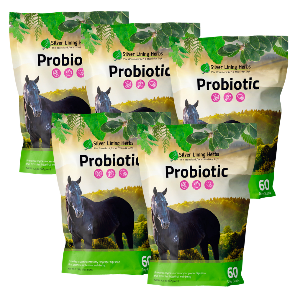 Silver Lining Herbs Horse Probiotics